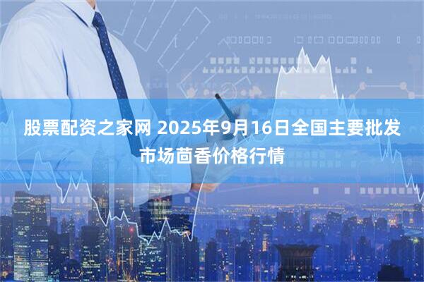 股票配资之家网 2025年9月16日全国主要批发市场茴香价格行情