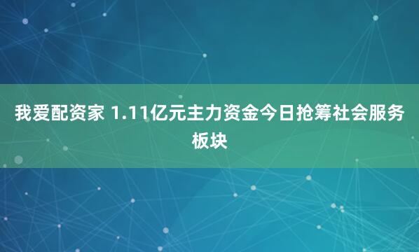 我爱配资家 1.11亿元主力资金今日抢筹社会服务板块