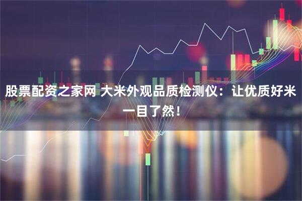 股票配资之家网 大米外观品质检测仪：让优质好米一目了然！