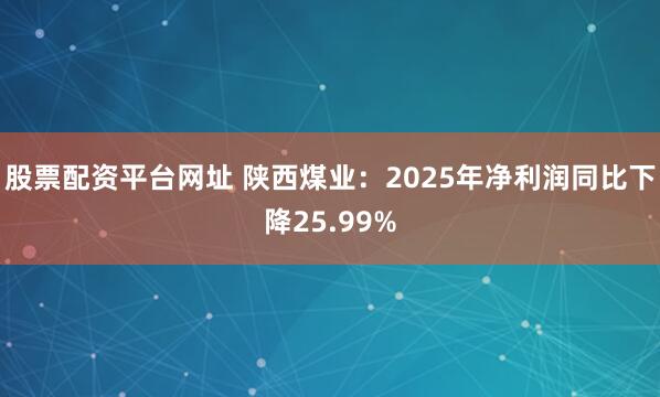 股票配资平台网址 陕西煤业：2025年净利润同比下降25.99%